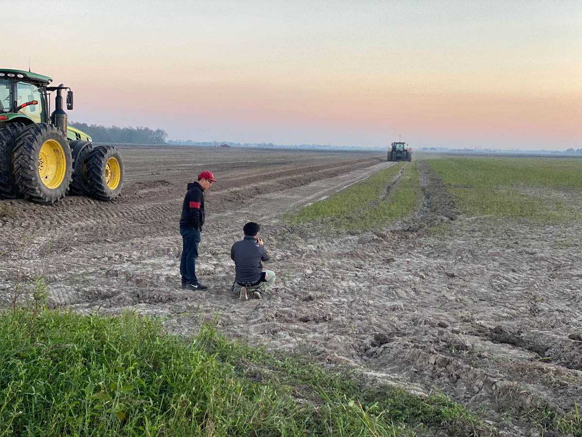 Rice processor to expand in Louisiana