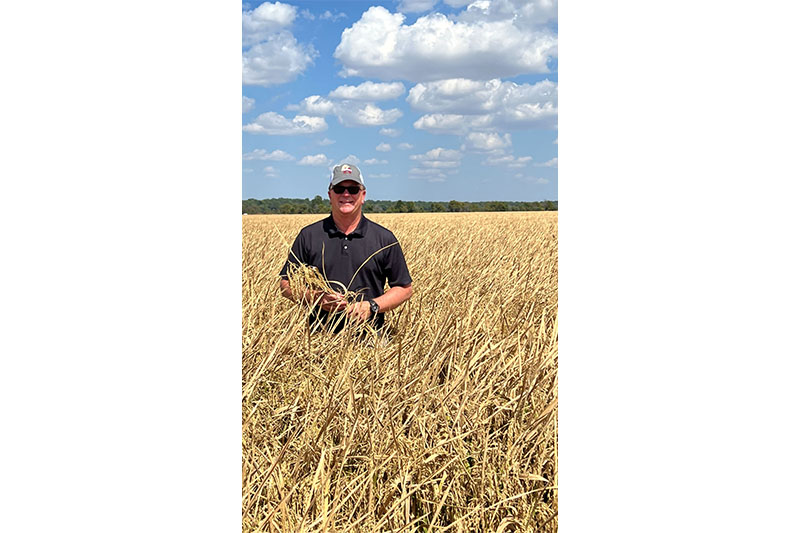 Man standing in a rice field