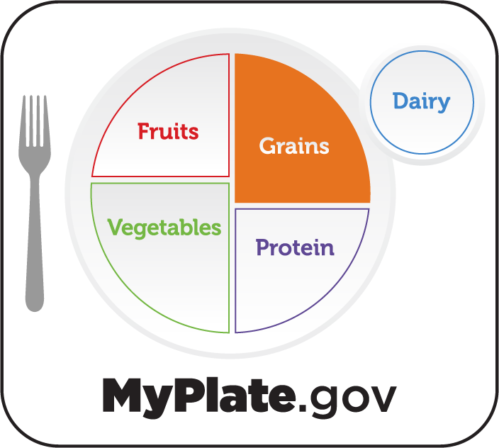 Image of the MyPlate graphic with the grains section highlighted