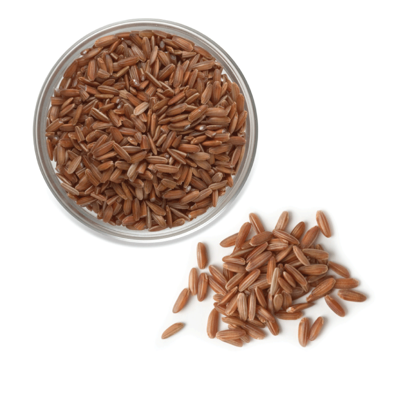 Overhead view of uncooked U.S. red aromatic rice.