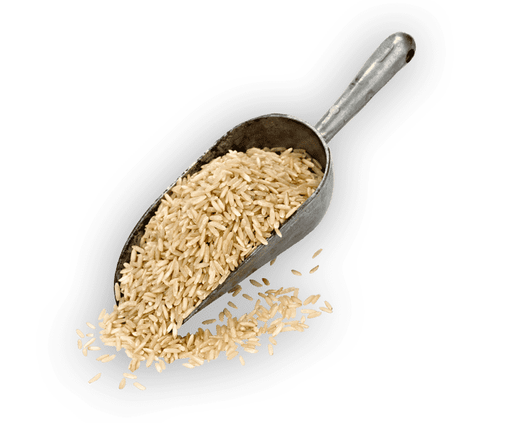 Scoop filled with rice | Think Rice