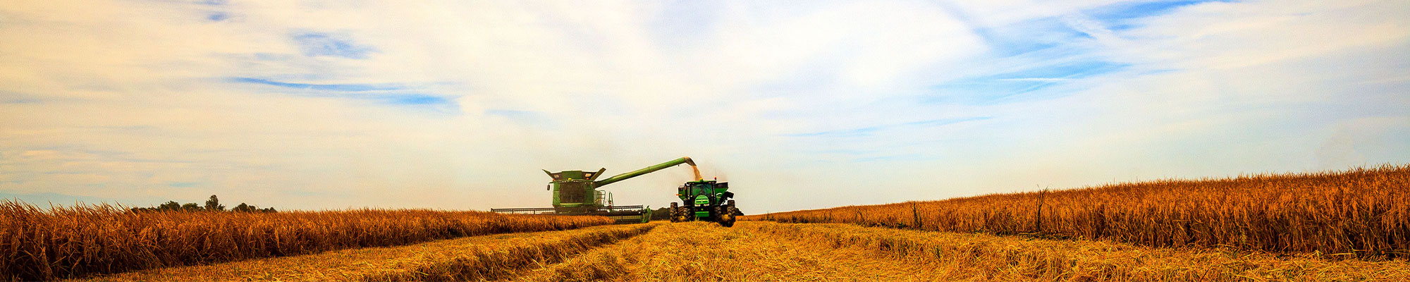 Image of a green combine harvesting rice.