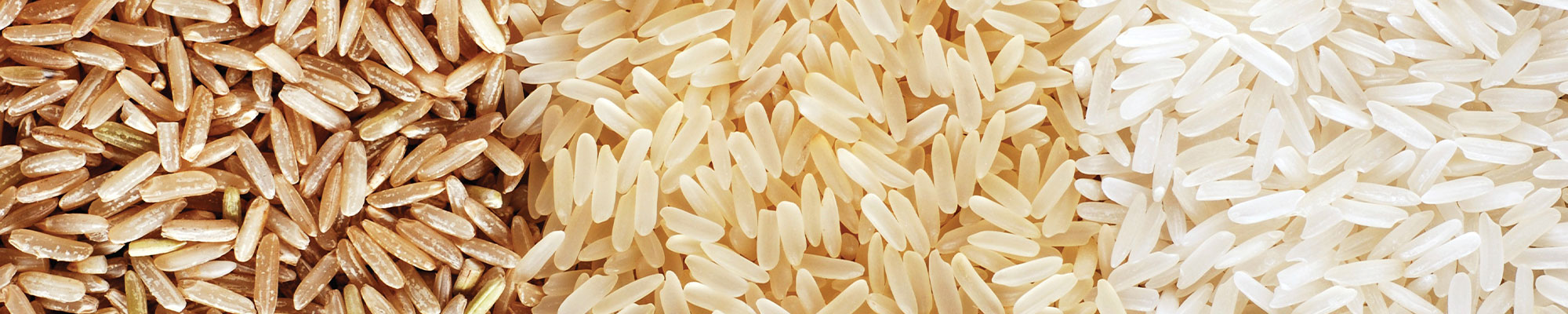 Three different columns of loose rice types-brown, parboiled, and white rice.