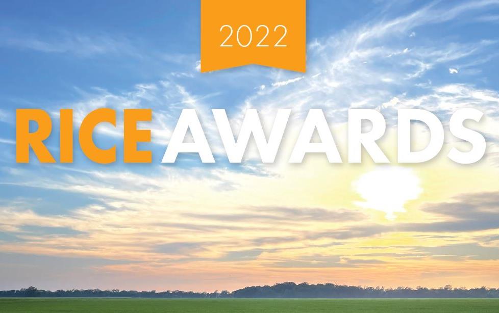 2022 Rice Farming Magazine Awards, sun shining over green rice field