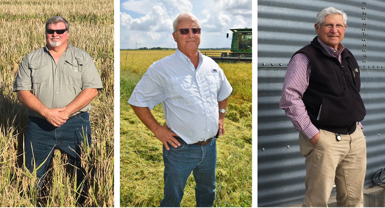 Help Us Recognize Deserving Industry Leaders | USA Rice Federation