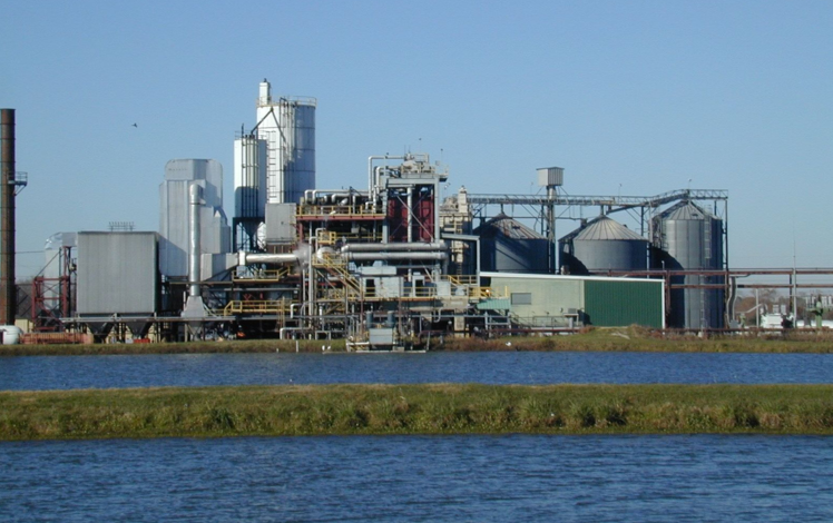 Agrilectric Power Plant at Lake Charles LA