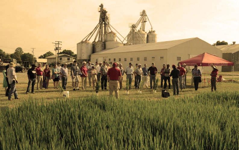 AR-Ag-Extension-Talk,-sepia-tone photo of crowd standing near research plots, grain bins & mill buildings in background