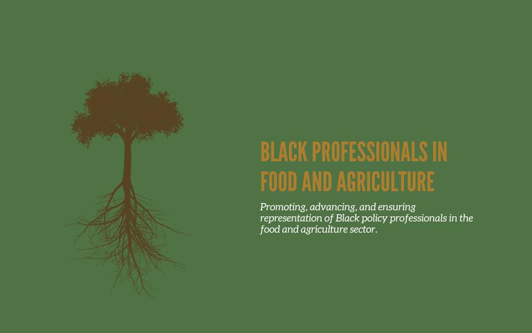 Black-Professionals-in-Food-&-Ag-logo