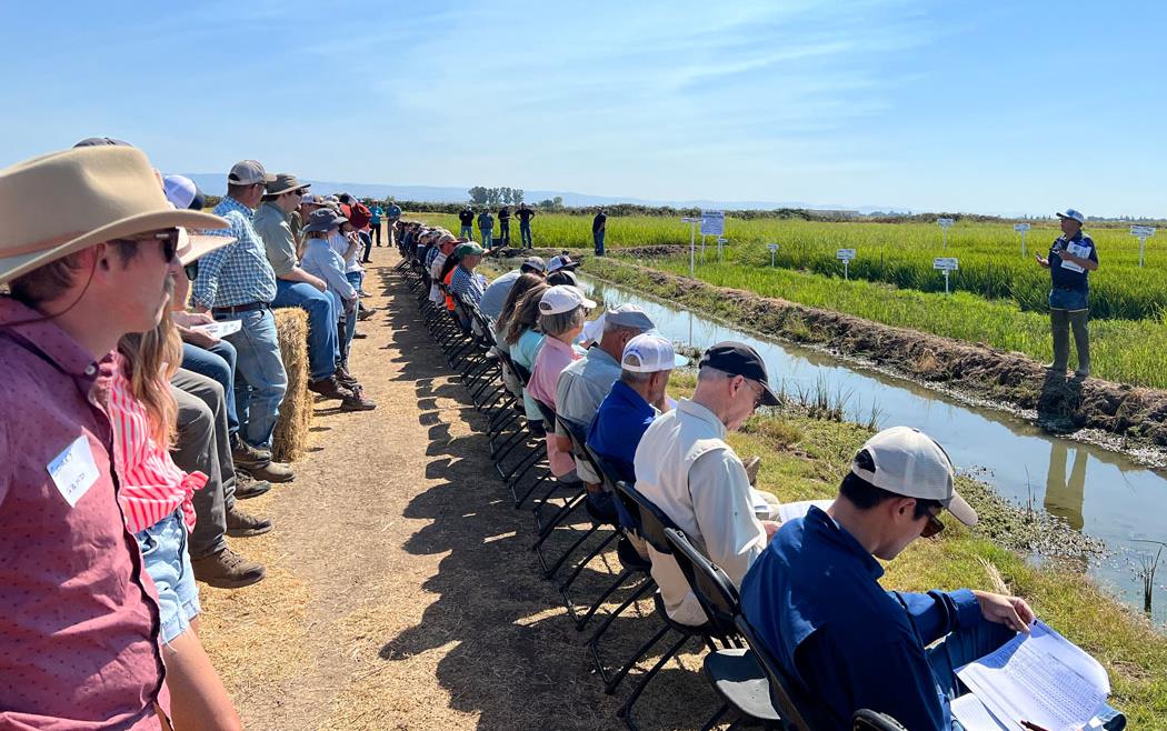 CA-Field-Day,-seated-crowd-at-research-plots