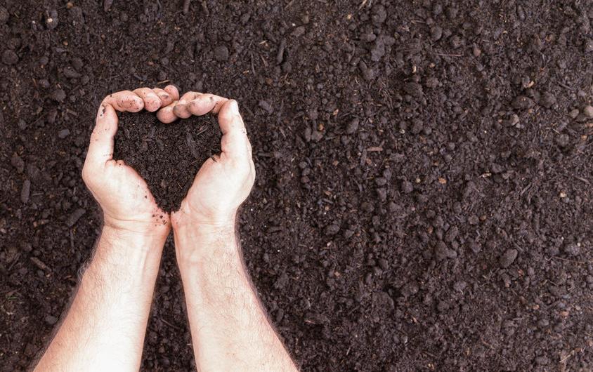 Heart hands in dark soil