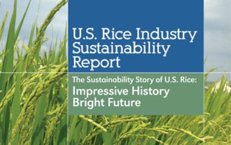 Cover of Rice Sustainability Report with photo of green rice behind blue and green text boxes