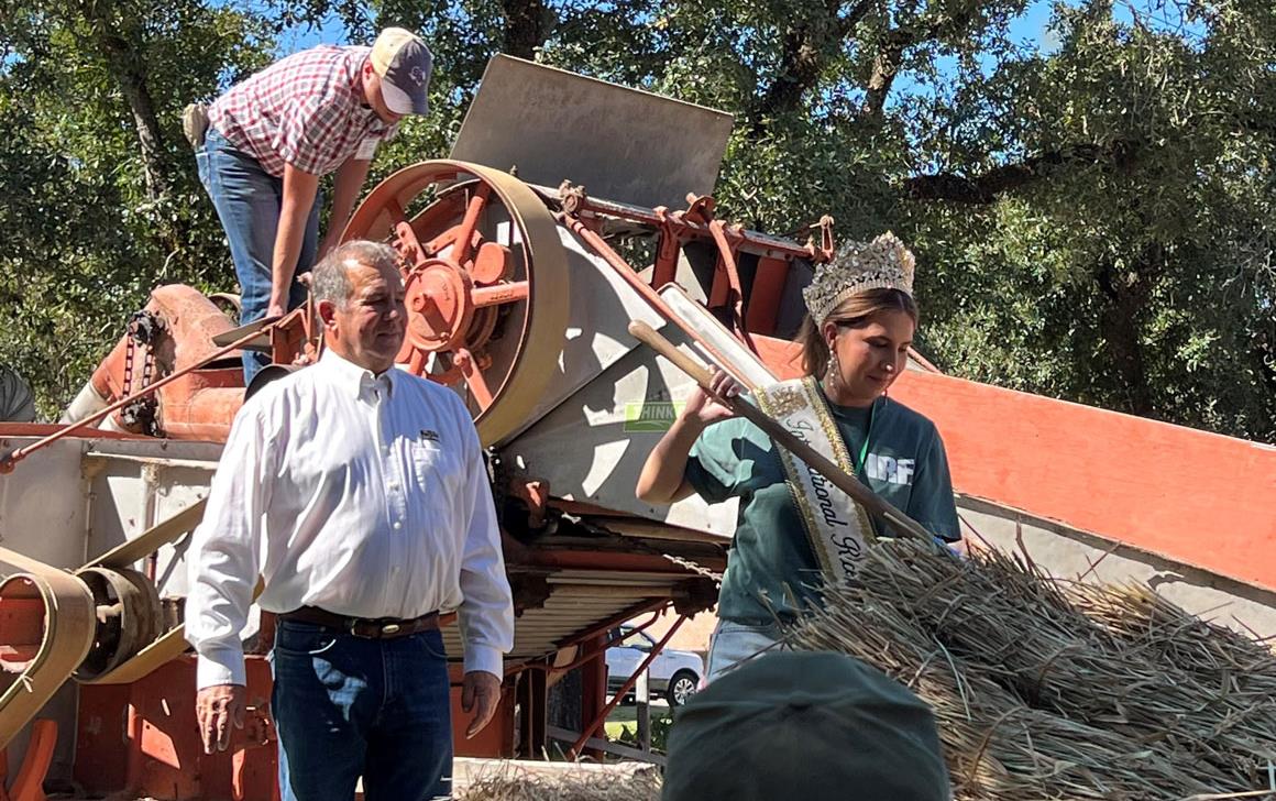 Dr. Ronnie Levy & Queen Isabella Hardy try their hand at threshing rice the old-fashioned way