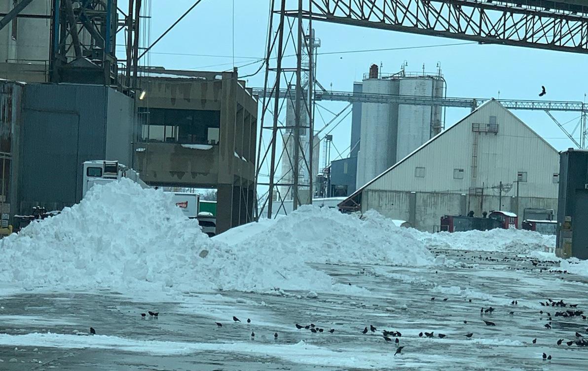 Piles of snow at Producers Rice Mill in Stuttgart AR