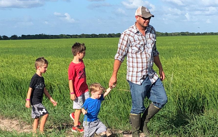 Man wearing plaid shirt, jeans, waterproof boots, and ballcap walks through green rice field followed by three young boys