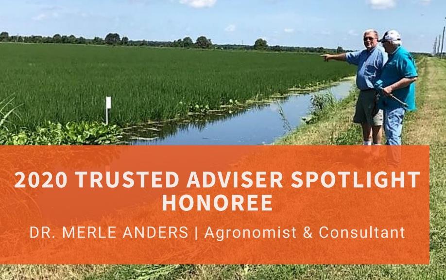 Photo of two men standing near green rice field, orange text box identifies Merle Anders FTM Spotligt