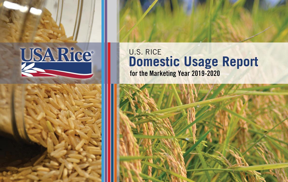 2019-20-DUR-Cover with photos of milled brown rice (left) and mature rice field (right)