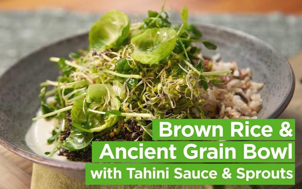 Food photo of brown rice and ancient grain bowl with tahini sauce and sprouts