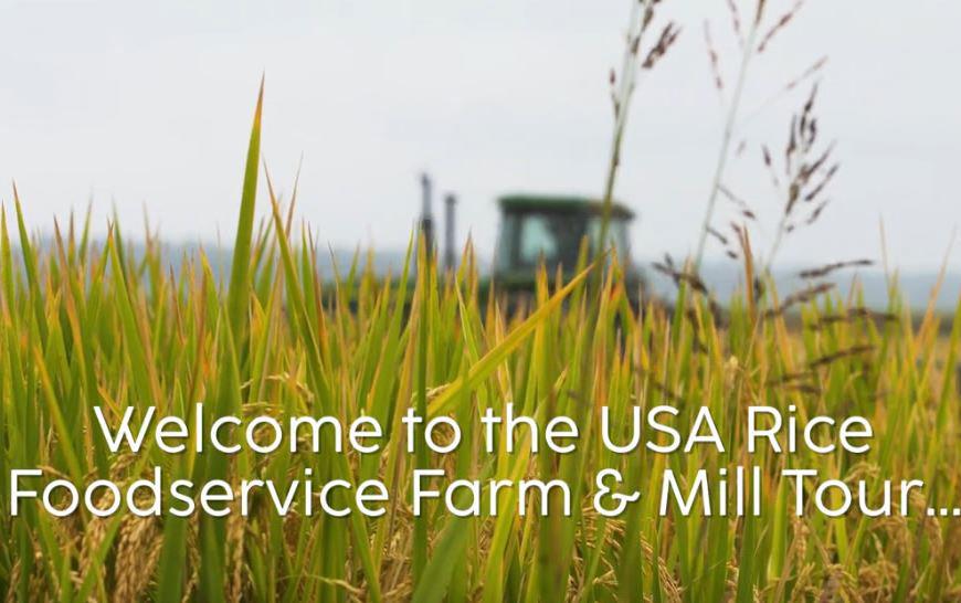 Farm-&-Mill-Tour,-opening shot of rice-&-combine