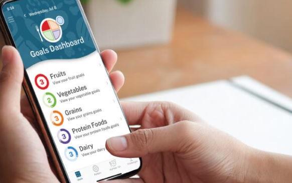 MyPlate Dashboard on cellphone