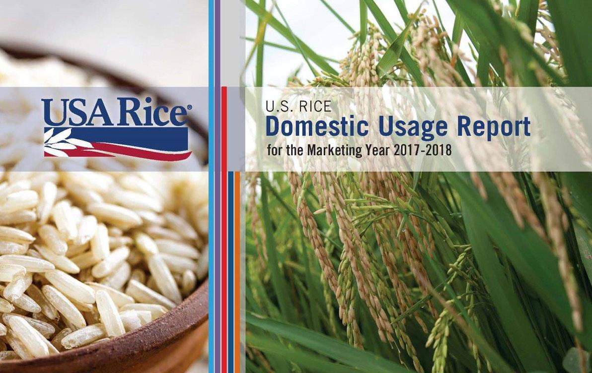 DUR cover page with closeup of rice bowl on left and mature rice plant in field on right
