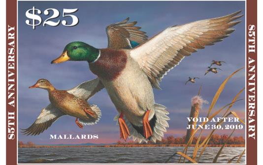 2018 Duck Stamp, painting of mallard pair flying over flooded field with serrated border