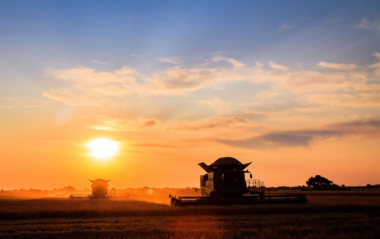 Two combines in field at sunset, orange sky