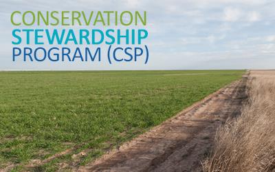 Text "Conservation Stewardship Program" superimposed over photo of green grass field next to dirt road next to field of brown stalks