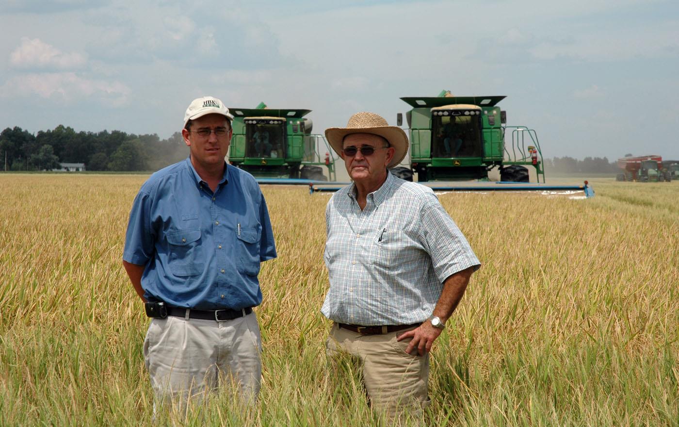 Two white men standing in mature rice field, two green combines in background