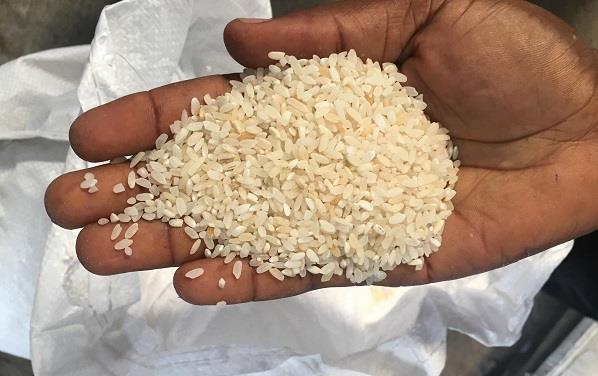 Brown hand holds white rice