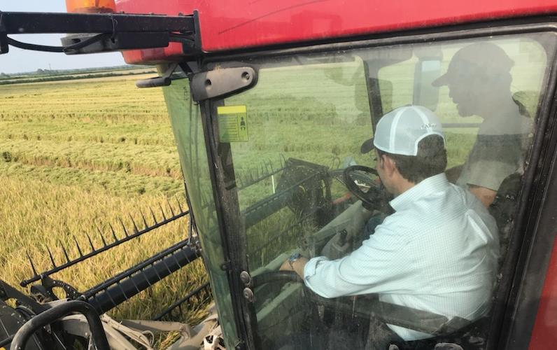 Senator Mike Johnson, wearing USA Rice hat, rides in combine during harvest on Eric Unkle Farm