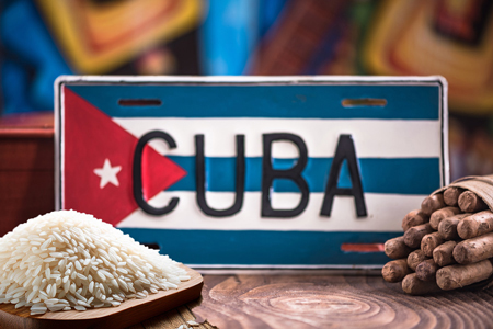 IP-Guyabera,-Music,-and-Rice--USA-Rice-Honors-Cuban-Culture1-241029