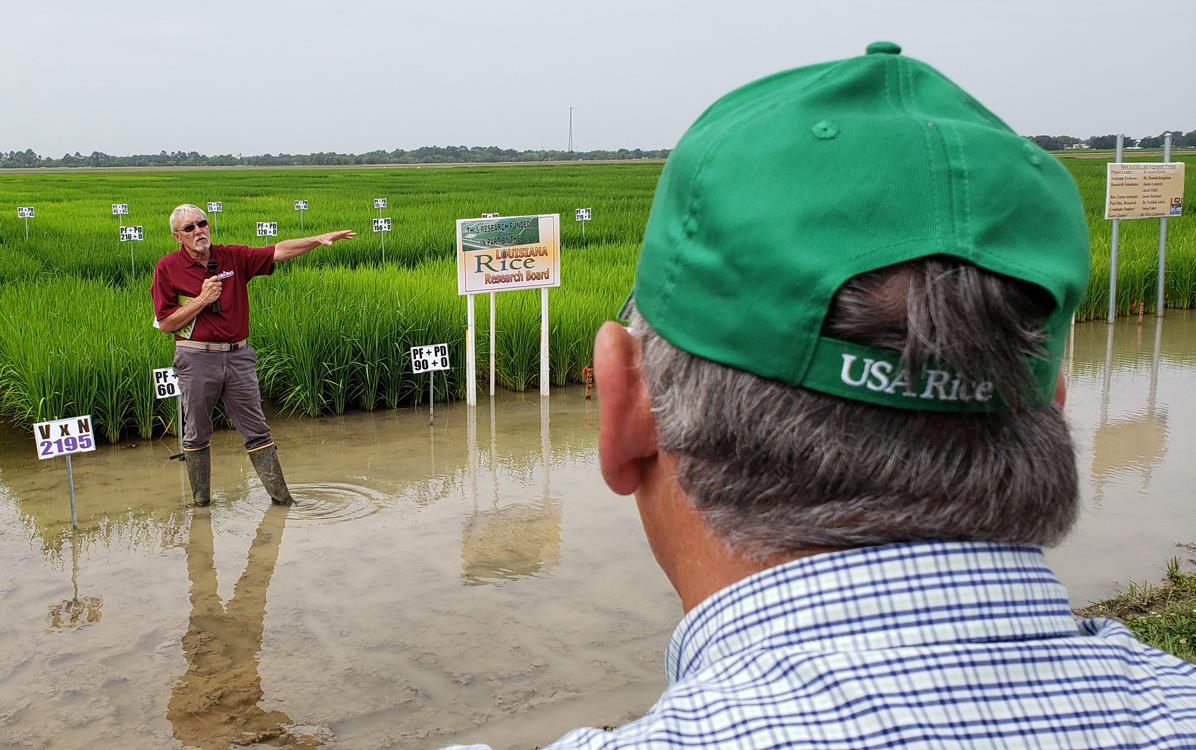 Man stands in flooded rice field, holding microphone & pointing, another man wearing a USA-Rice-ballcap faces him and away from the camera