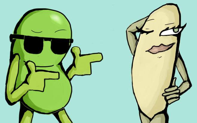 Cartoon of a green "cool" bean wearing sunglasses and "hot" rice stricking a pose and winking, Pacface Art-190521