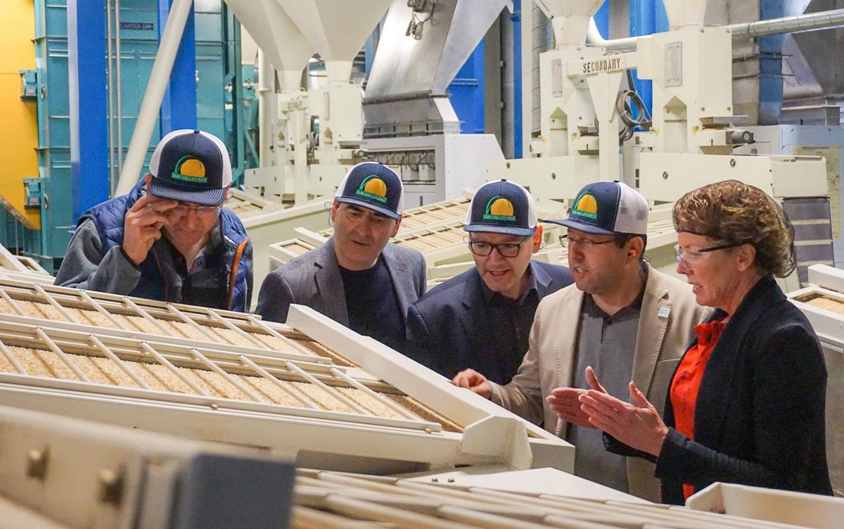 Four men wearing ballcaps & one woman wearing hairnet stand in front of rice sorter inside rice mill, more milling equipment in background