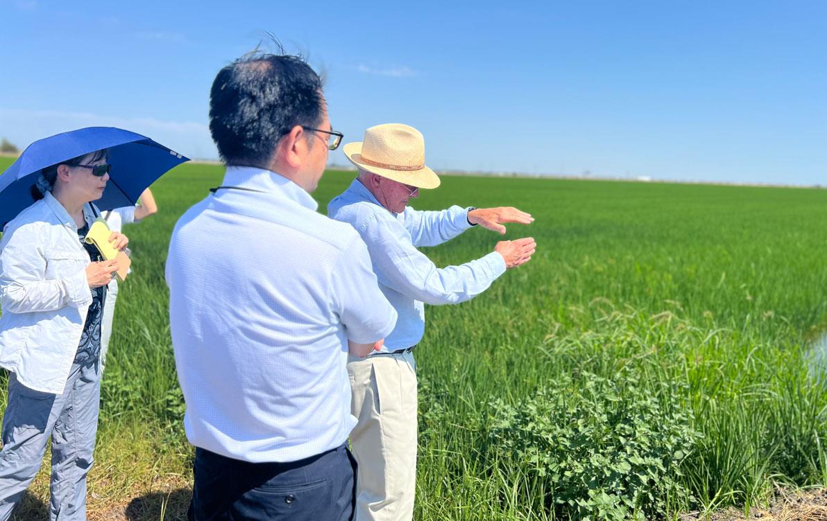 27th-Japan-Tech-Mtg,-Michael Rue, wearing straw hat, conducts-farm-tour at green rice field for man and woman holding blue umbrella