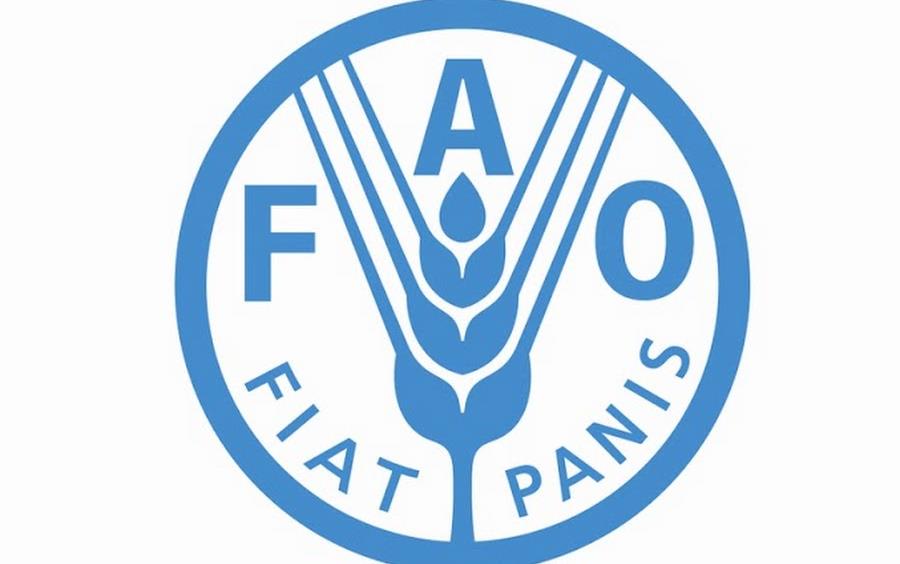 Food & Ag Organization of the UN logo