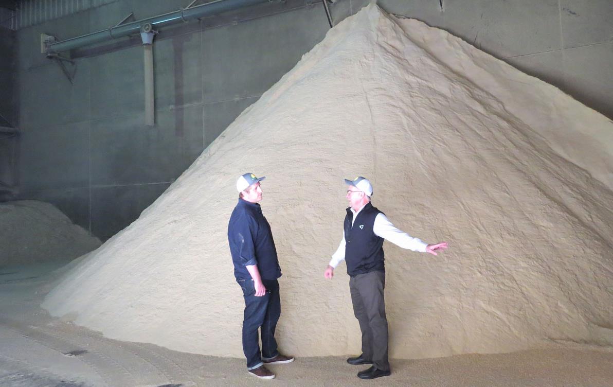 Two men stand next to large pile of milled rice