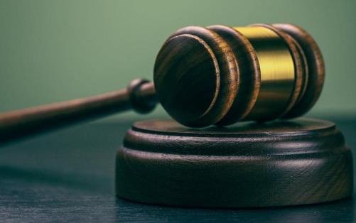 Gavel resting on round wooden block