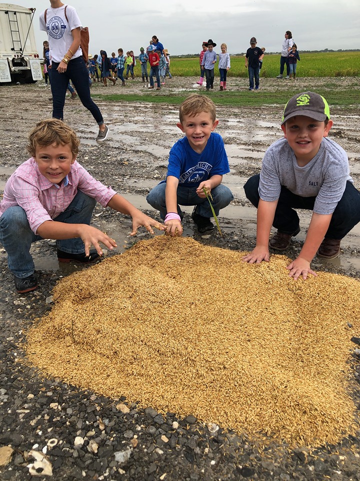 https://www.usarice.com/images/default-source/usa-rice-daily-images/member-services/mms-starting-rice-farming-education-early-in-louisiana-4-191021.jpg?sfvrsn=88a9d58d_4