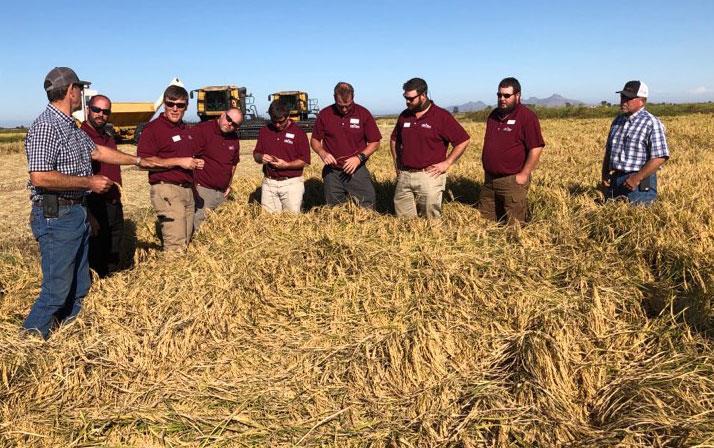 Group of people standing in mature rice rield, harvesting equipment in background