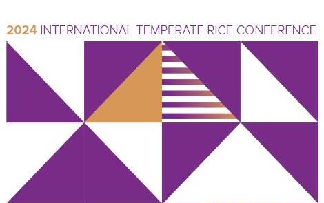 2024 ITRC Graphic Logo, purple & orange shapes & lines