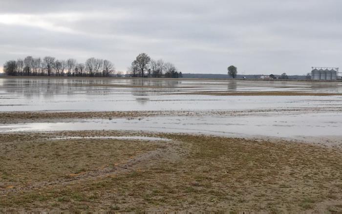 Standing water on muddy field, gray skies with line of trees and grain bins in the distance