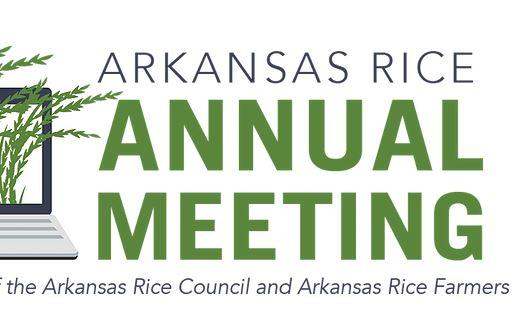 AR Rice Annual Meeting with computer and rice panicles