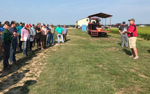 Group of casually dressed people stand facing a couple men giving a presentation in front of a rice field, tractor with wagon in background