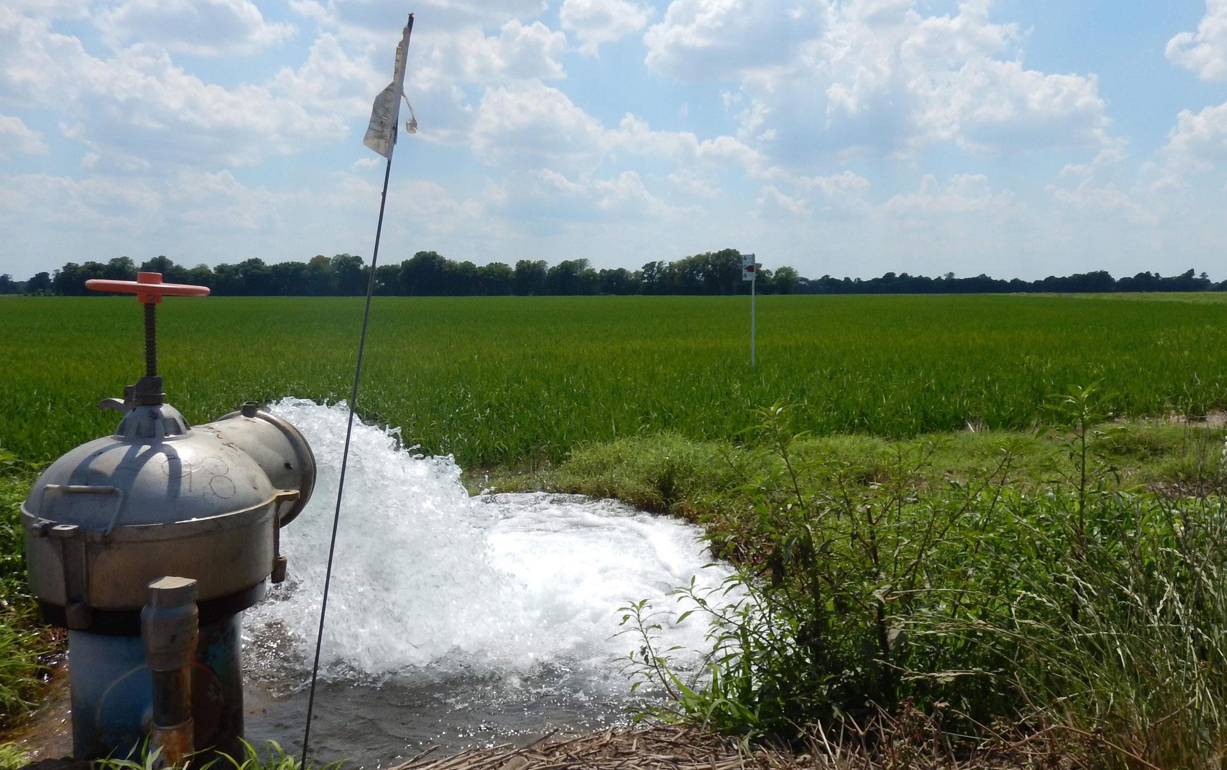 Water gushes from pump onto green rice field, blue sky & puffy white clouds