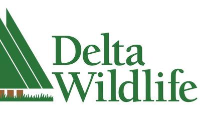 Delta Wildlife logo