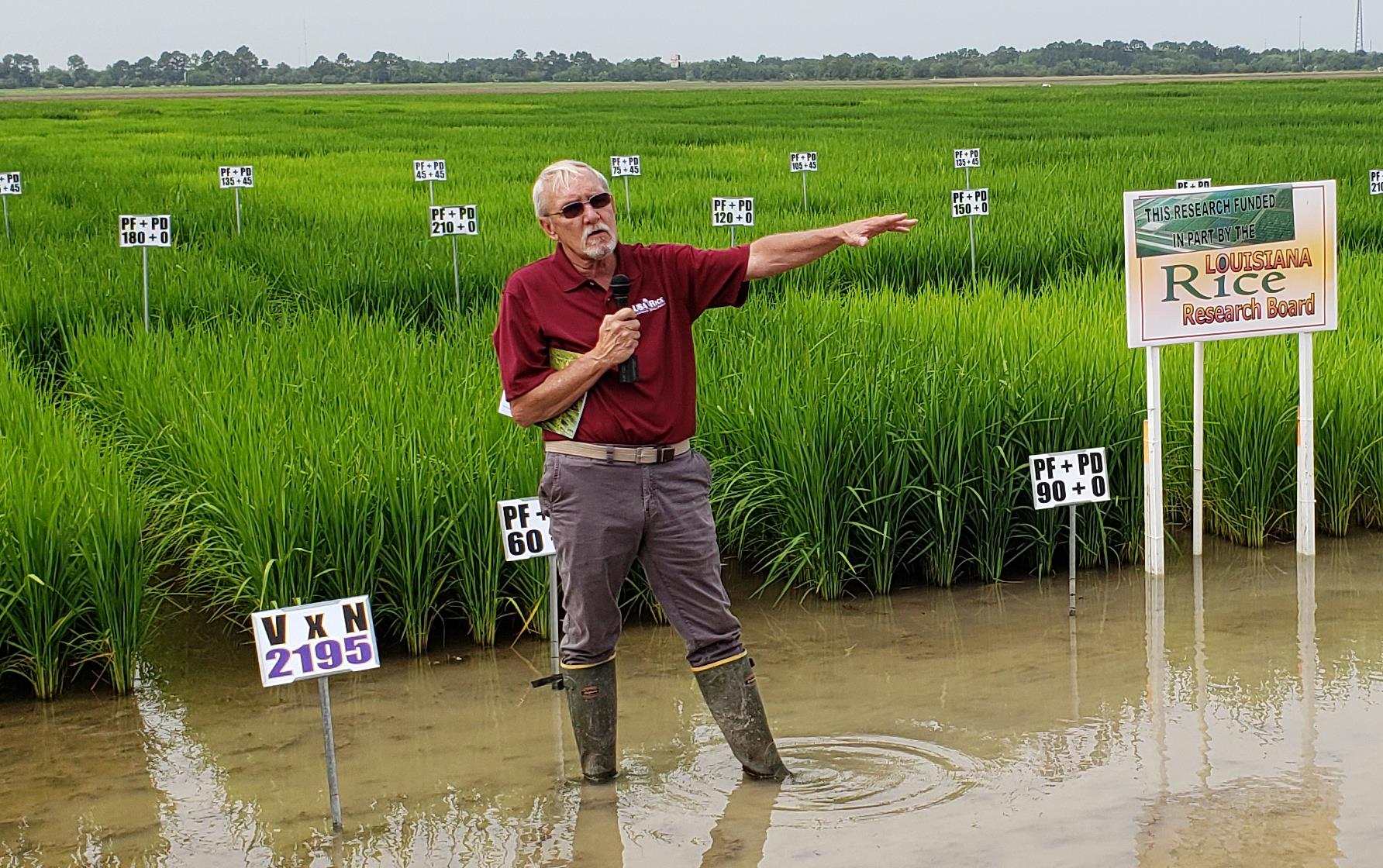 Man wearing knee-high boots, holding a mic and pointing, stands in flooded rice field