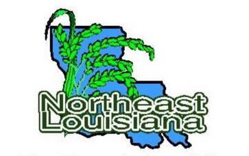 NELA logo, map of LA with green rice stalk 