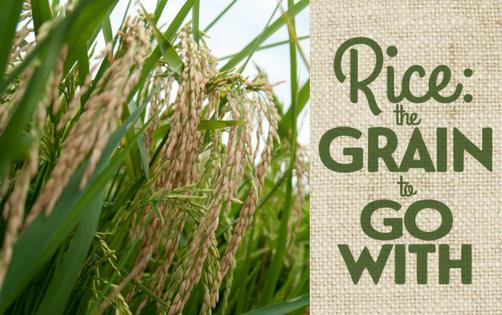 Photo of golden rice with text "Rice: The-Grain-to-Go-With"