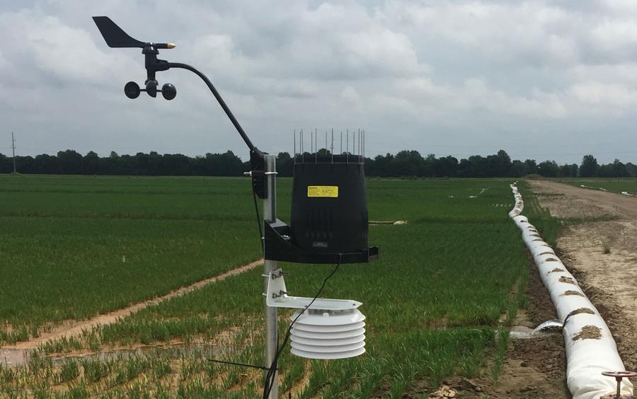 Solar powered weather station set up next to rice field